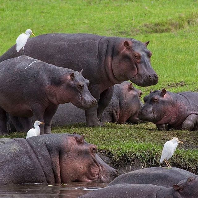 Lake Manyara